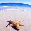 Summer avatar holiday 49